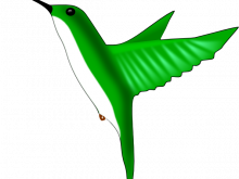 220x165 Hummingbird Clip Art Hummingbird Clipart Clipart Panda Free