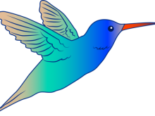 220x165 Hummingbird Clipart Free Cute Hummingbird Illustration Free Clip
