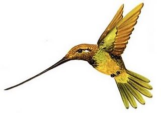 320x225 Inspirational Hummingbird Clip