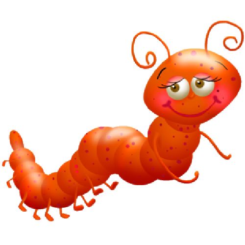Free Insect Clipart