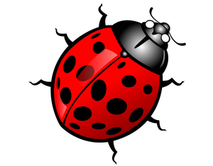 300x235 Free Cute Insect Clipart Free Images