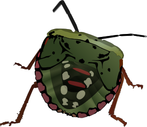 300x258 Stink Bug Clip Art