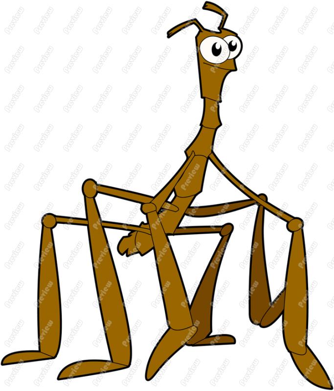 683x800 Walking Stick Insect Clipart
