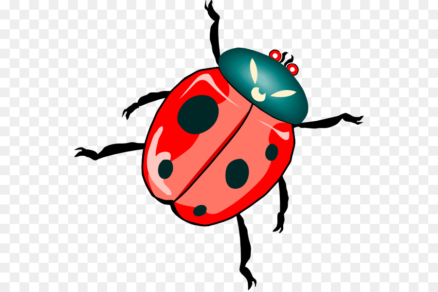900x600 Beetle Ladybird Free Content Clip Art