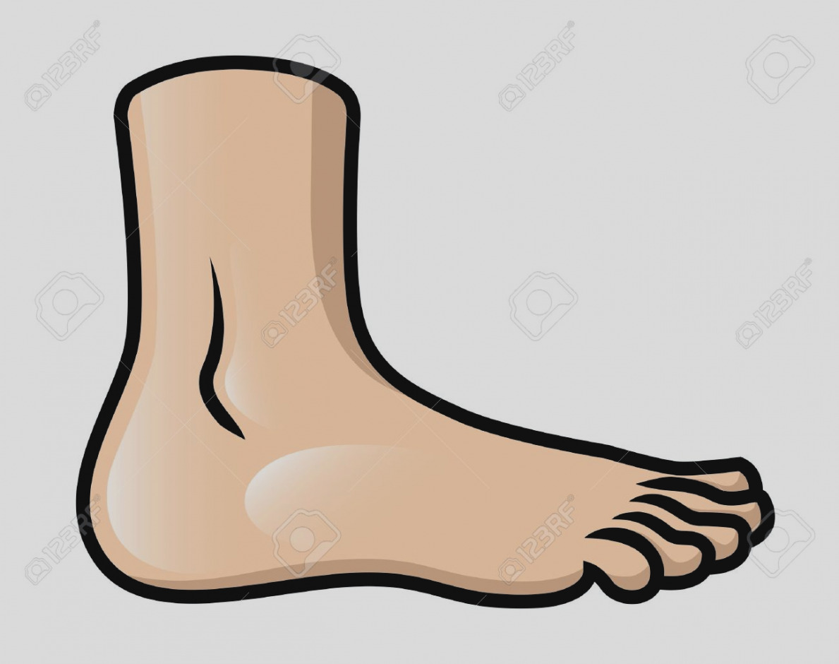 1189x940 Inspirational Of Foot Clip Art Free To Use Clipart Panda Images