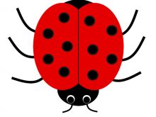 220x165 Ladybugs Clipart 49 Best Clipart Ladybugs Images