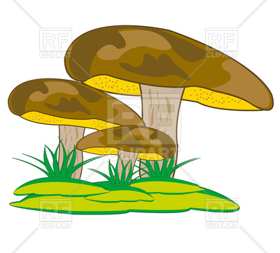 400x361 Mushroom Suillus Granulatus On Year Glade In Herb Royalty Free