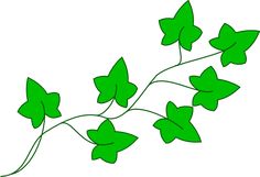 236x161 Ivy Leaf Clip Art