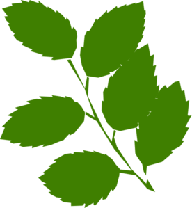 276x299 Leaf Green Leaves Clip Art Vector Clip Art Free