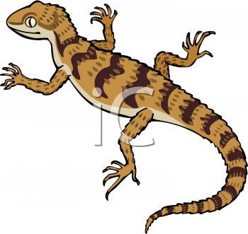 Free Lizard Clipart at GetDrawings | Free download