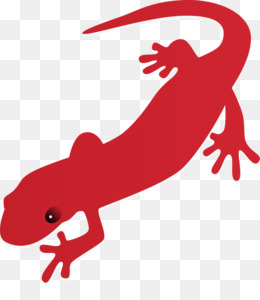 260x300 Free Download Fire Salamander Newt Free Content Clip Art
