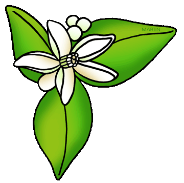 360x357 Collection Of Mayflower Flower Clipart High Quality, Free