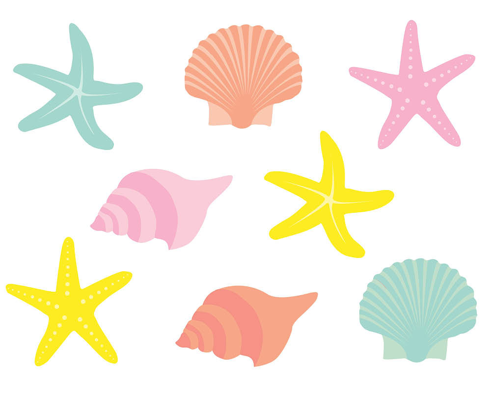 1000x800 Seashell Clipart Free Amp Look At Seashell Clip Art Images