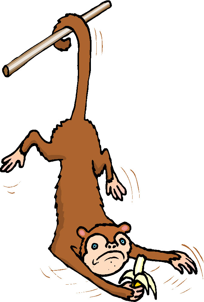 671x992 Free Monkey Clip Art Pictures