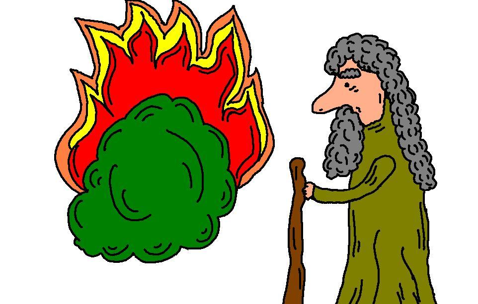 962x613 Bush Clipart The Burning