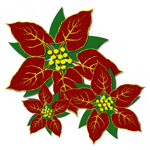 520x520 Free Poinsettia Clipart Amp Look At Poinsettia Clip Art Images