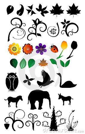 285x450 Nature Photography Clipart