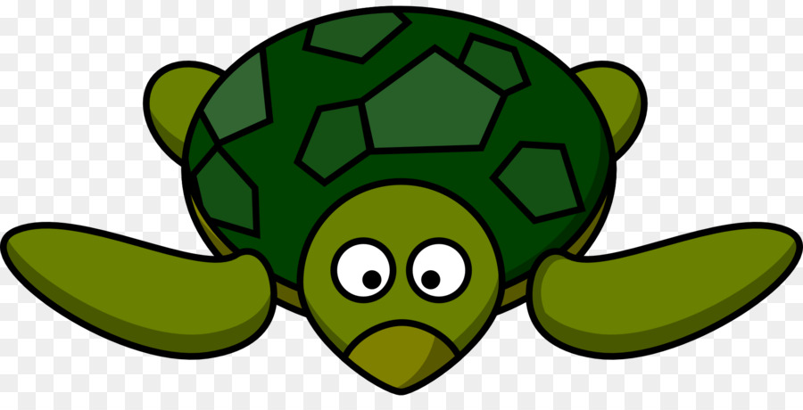 900x460 Sea Turtle Animation Clip Art
