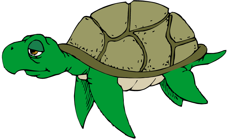 750x461 Cartoon Turtle Clipart Free Clip Art Images Image 9