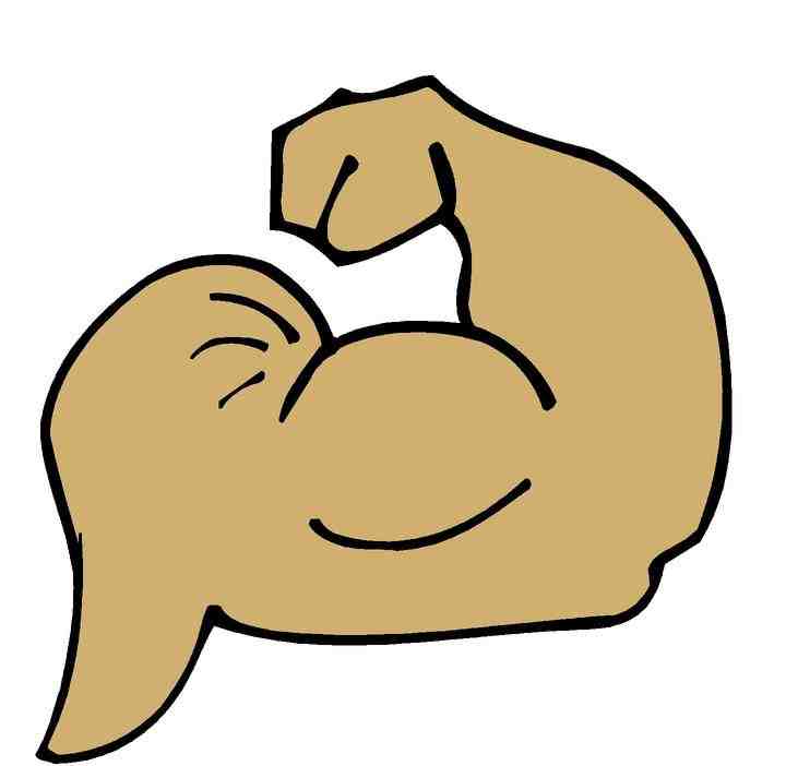 720x702 Muscle Clip Art Clipartlook
