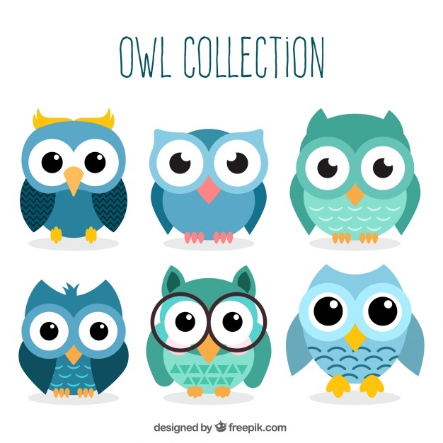 626x626 Owl Vectors, Photos And Psd Files Free Download
