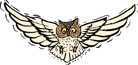 567x270 Staggering Flying Owl Clip Art