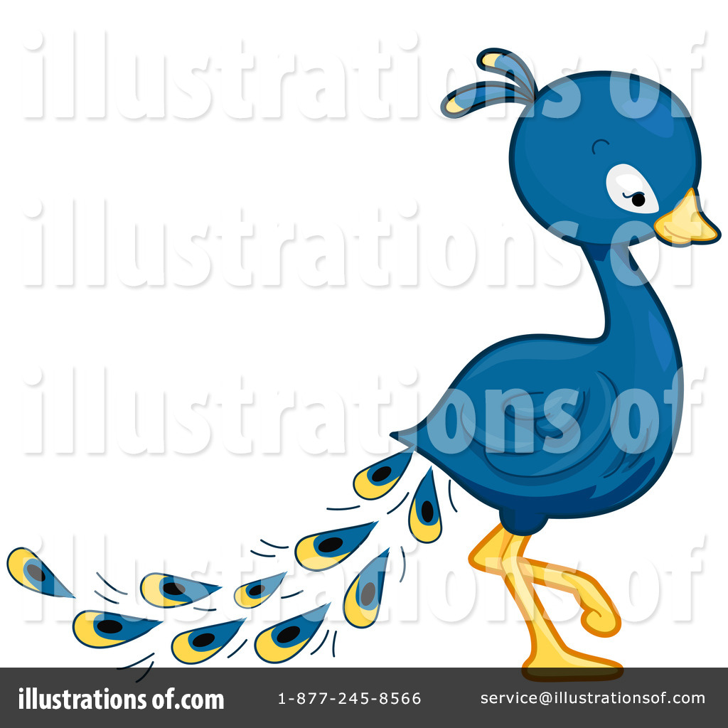 1024x1024 Peacock Clipart