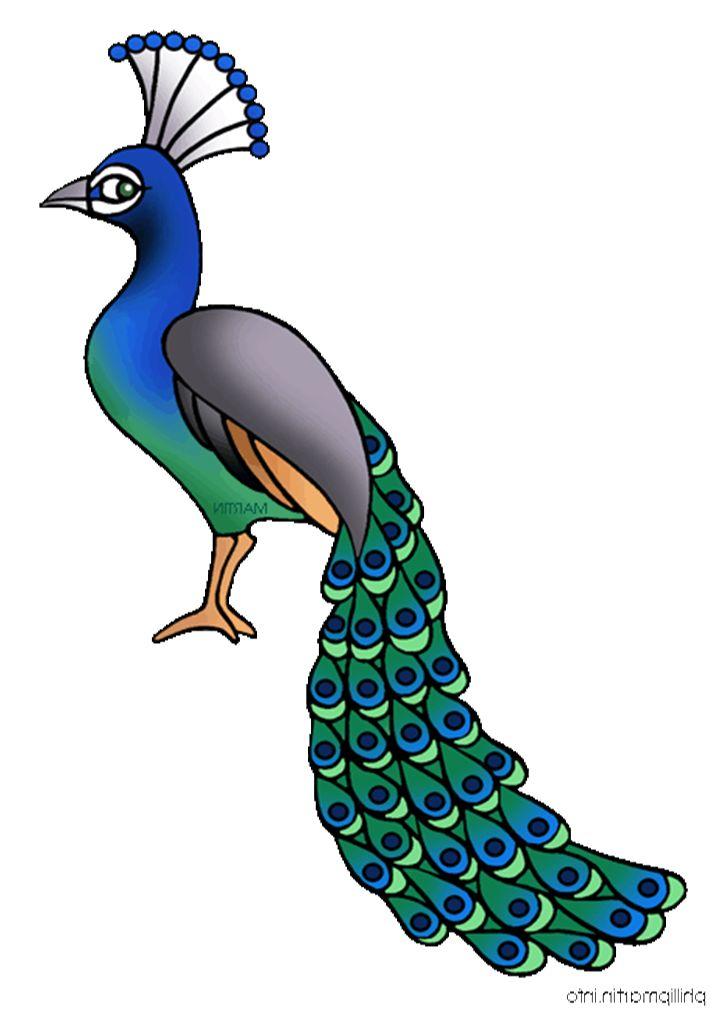 718x1012 Peacock Wedding Clipart