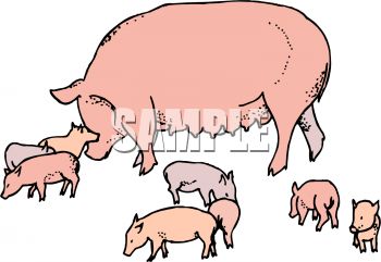 350x241 Free Clipart Pig Peppa Pig