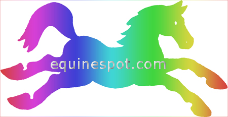 450x232 Horse Clipart