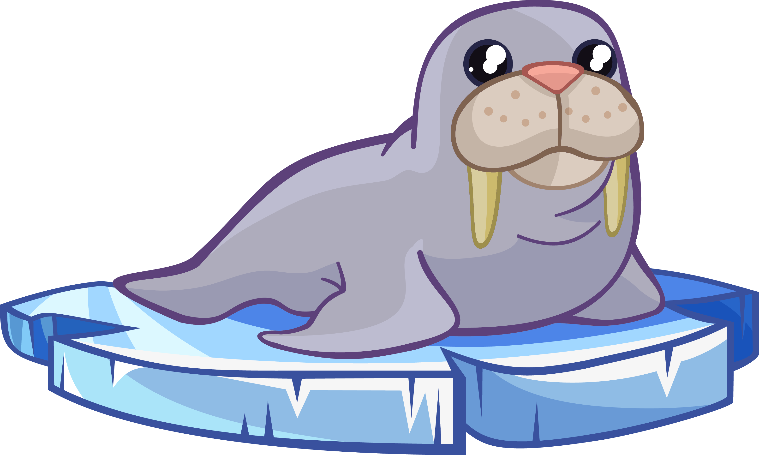 3163x1896 Top 78 Walrus Clip Art