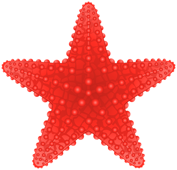 600x574 Starfish Transparent Png Clip Art Image Beach Clipart
