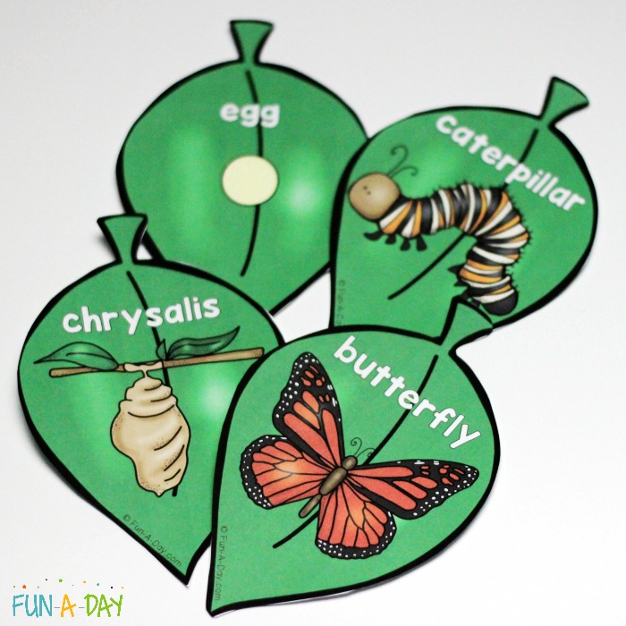700x700 Butterfly Life Cycle Craft Necklace The Kids Can Make