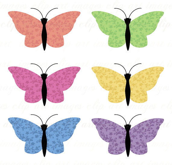 570x549 Cu Calico Butterfly Clip Art, Clipart Panda