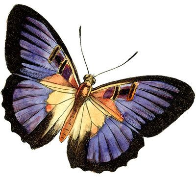 400x367 Purple Butterfly Clipart By Hauntingvisionsstock