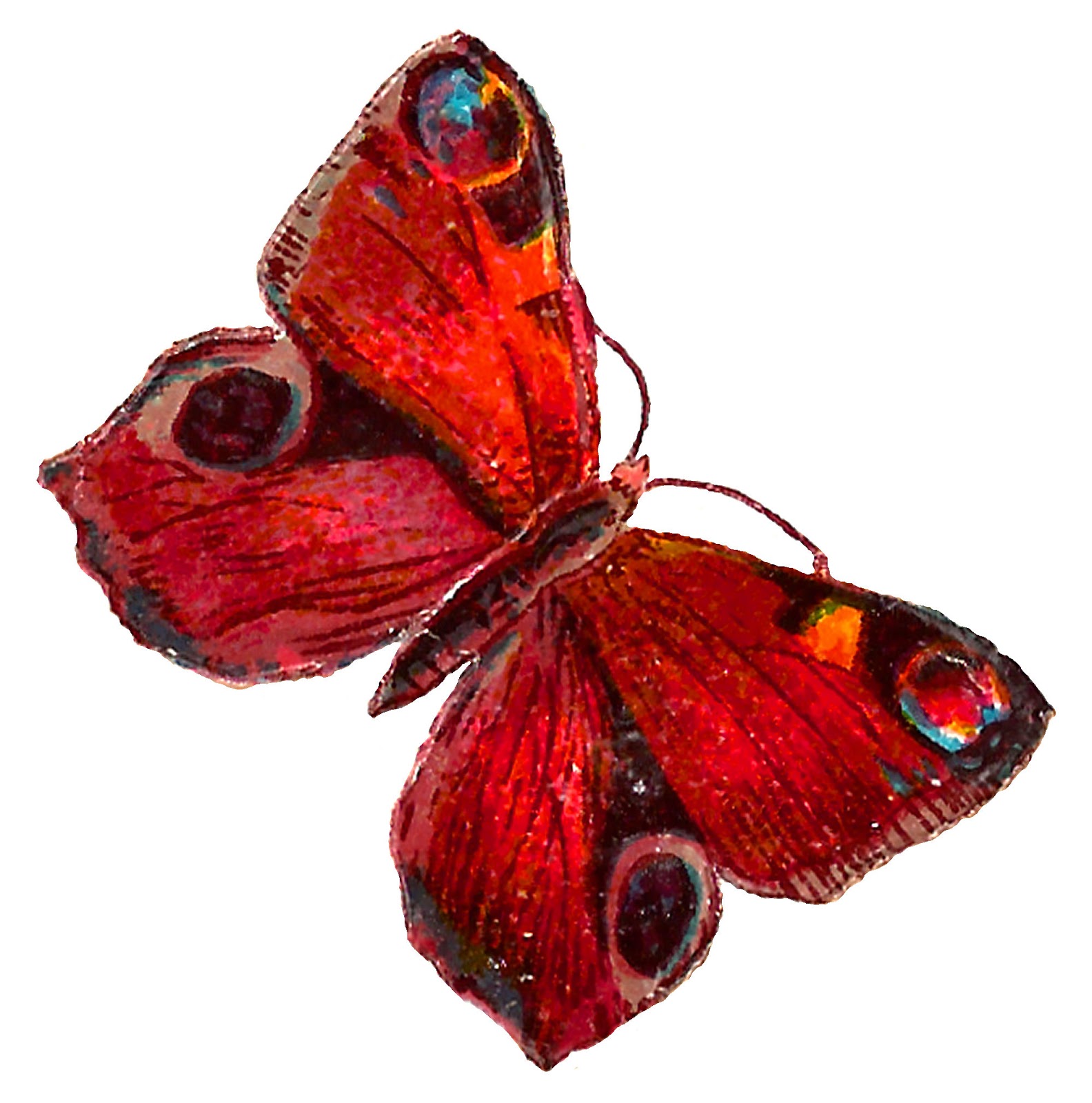1584x1600 Antique Images Red Butterfly Free Images Insect Illustration