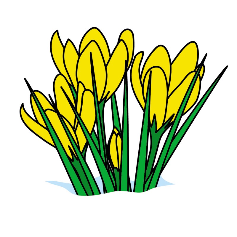 800x800 Easter Flowers Clipart