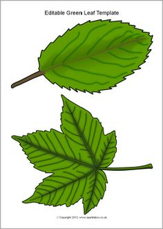 236x331 Free Pilgrim Clipart Images Autumn Leaves Clip Art