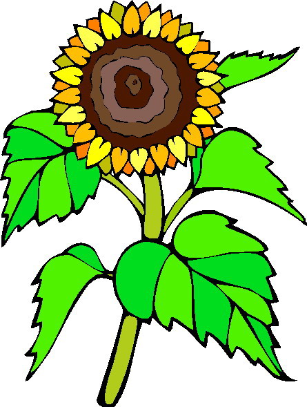 445x589 Sunflower Clip Art Free Printable Clipart 2 6