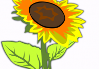 200x140 Sunflower Clipart Free Sunflower Clip Art Free Printable Free