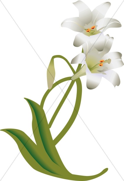 420x612 Easter Lily Pictures Clip Art Happy Easter Amp Thanksgiving 2018