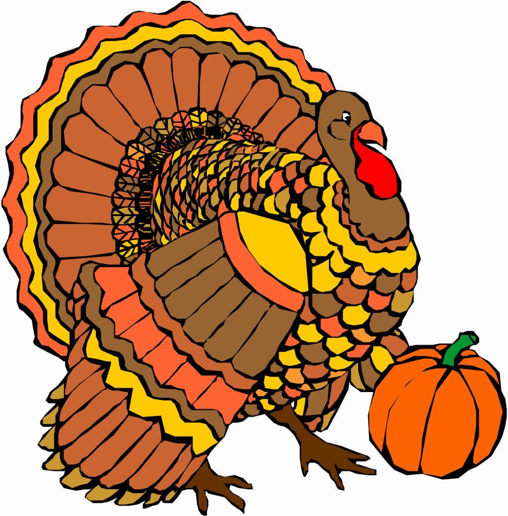 1007x1024 Pin By Stacey Putman On Turkey