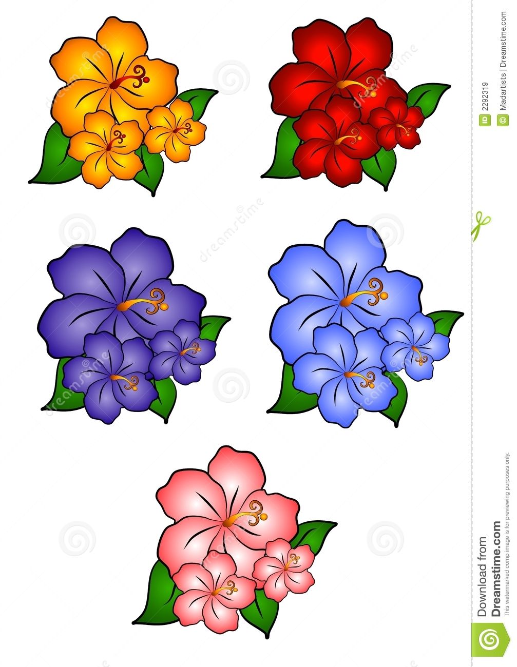 1007x1300 Flower Clip Art Free Hawaiian Flower Border Clip Art 5 Hawaiian