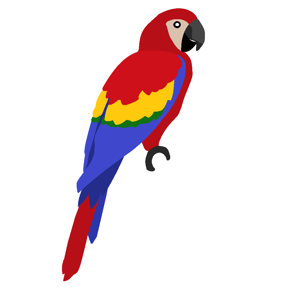 1000x1000 Rainforest Clipart Macaw