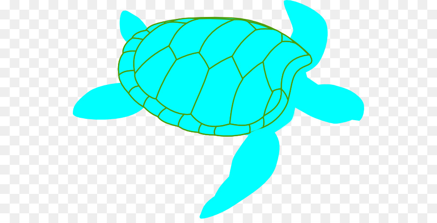 900x460 Green Sea Turtle Leatherback Sea Turtle Clip Art