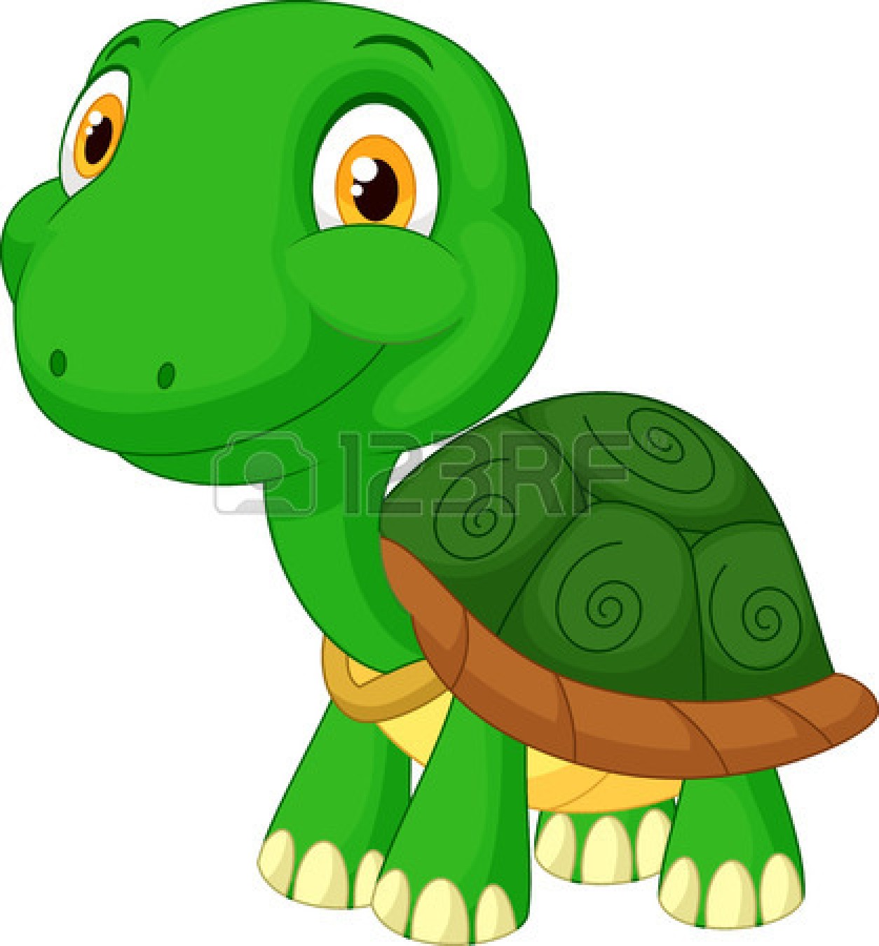 1254x1350 Sea Turtle Clipart Terrapin