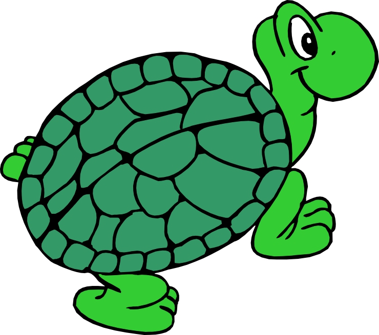 740x655 Turtle Cartoon