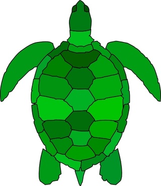 320x368 Turtle Clip Art Free Free Vector Download (215,641 Free Vector