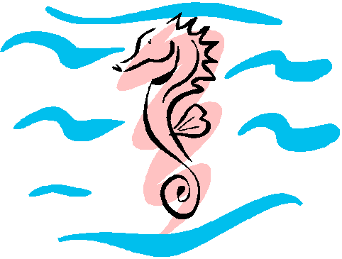 482x365 Seahorse Clip Art Free Clipart Panda