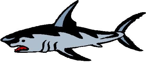 Free Shark Clipart at GetDrawings | Free download